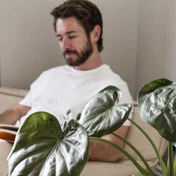 How to Style a Bean Bag in a Minimalist Home