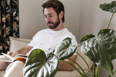 How to Style a Bean Bag in a Minimalist Home