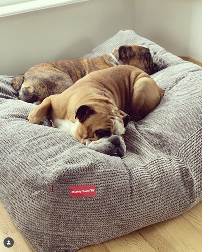 How to Clean and Care for Certain Bean Bag Fabrics