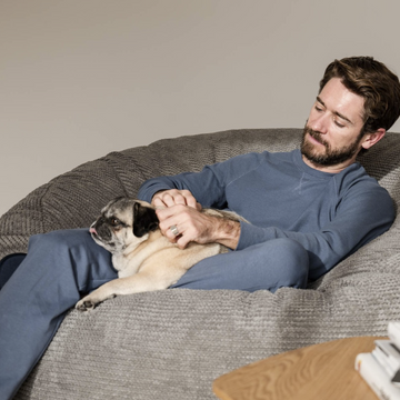 Pet-Friendly Bean Bags: Stylish and Durable Options