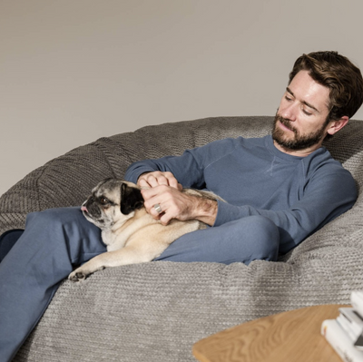 Pet-Friendly Bean Bags: Stylish and Durable Options