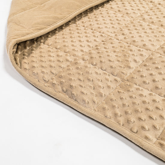 Weighted Blanket for Adults - Minky Dot Cream / Mink 02