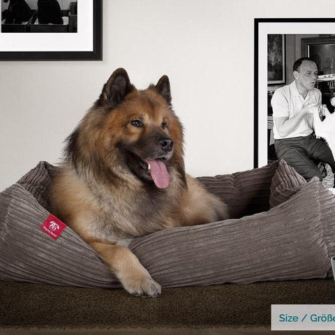 The classic dog bed by Mighty Bark® is one comfortable place to be. This dog bed features a luxurious high quality fabric outer.