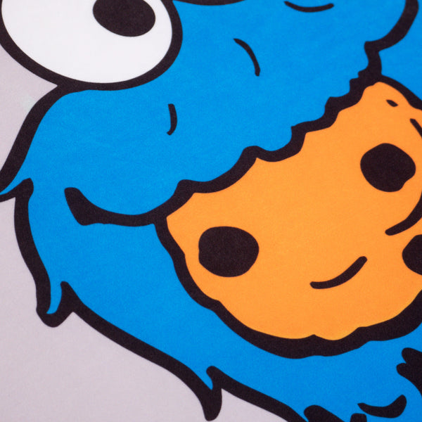 Sloucher Child's Bean Bag 2-6 yr - Cookie Monster Fabric Close-up Image