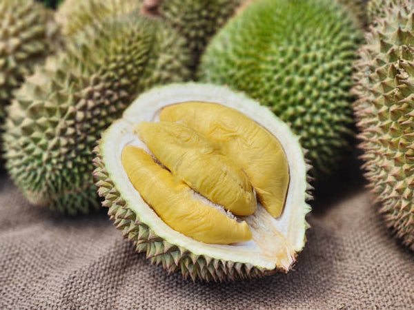 Test Durian Fabric Close-up Image