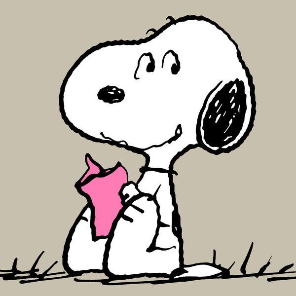 Snoopy High Back Support Cuddle Cushion - Reading Fabric Close-up Image