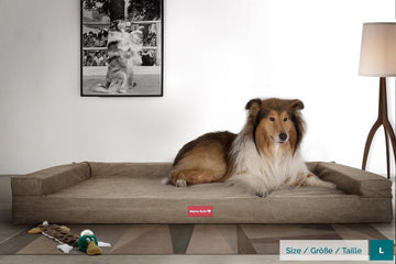 The Bench Orthopedic Memory Foam Dog Bed - Canvas Earth 02
