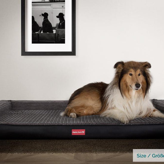 The Bench By Mighty-Bark Orthopedic Memory Foam Dog Bed Large Medium XXL Faux Leather Black