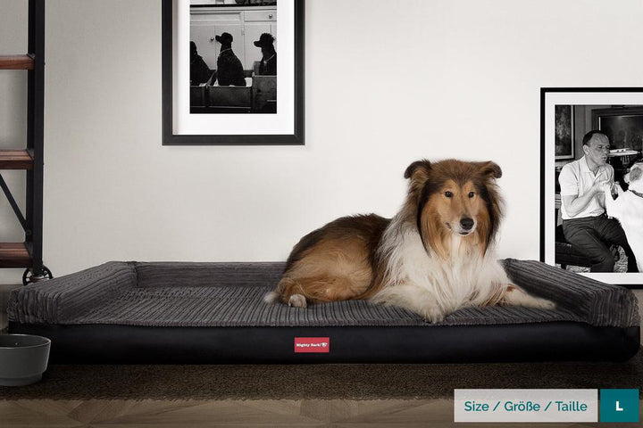 The Bench By Mighty-Bark Orthopedic Memory Foam Dog Bed Large Medium XXL Faux Leather Black