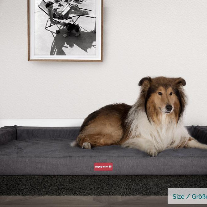 The Bench By Mighty-Bark Orthopedic Memory Foam Dog Bed Large Medium XXL Signature Graphite