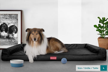 The Bench By Mighty-Bark Orthopedic Memory Foam Dog Bed Large Medium XXL Waterproof Black