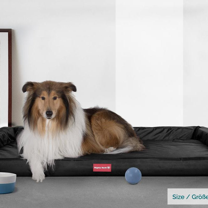 The Bench By Mighty-Bark Orthopedic Memory Foam Dog Bed Large Medium XXL Waterproof Black