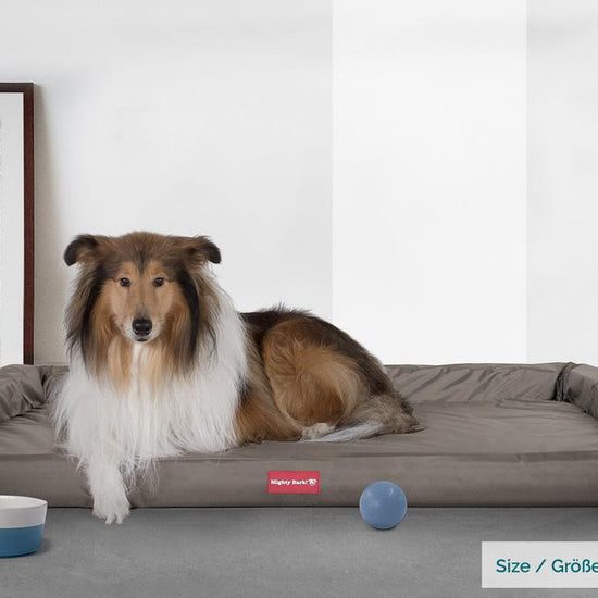 The Bench By Mighty-Bark Orthopedic Memory Foam Dog Bed Large Medium XXL Waterproof Grey