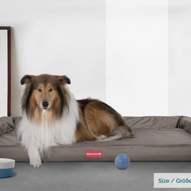 The Bench By Mighty-Bark Orthopedic Memory Foam Dog Bed Large Medium XXL Waterproof Grey
