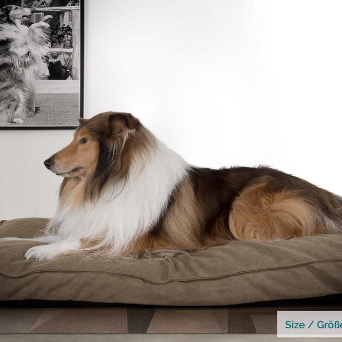 The Mattress Orthopedic Classic Memory Foam Dog Bed - Canvas Earth 02