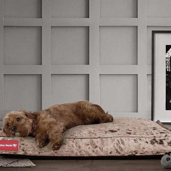 The Mattress By Mighty-Bark Orthopedic Classic Memory Foam Dog Bed Cushion For Pets Medium XXL Glitz Truffle
