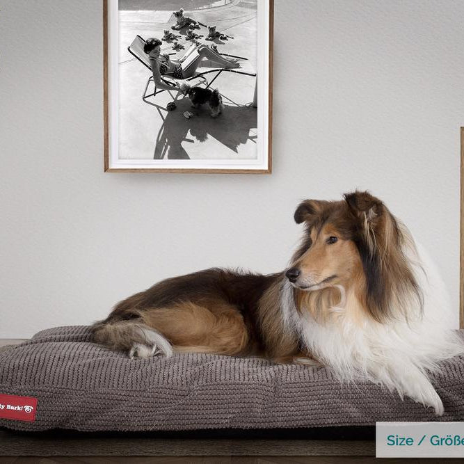 The Mattress By Mighty-Bark Orthopedic Classic Memory Foam Dog Bed Cushion For Pets Medium XXL Pom Pom Charcoal