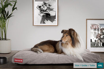 The Mattress By Mighty-Bark Orthopedic Classic Memory Foam Dog Bed Cushion For Pets Medium XXL Pom Pom Mink