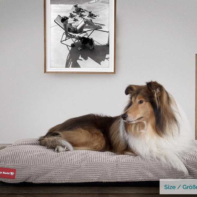 The Mattress By Mighty-Bark Orthopedic Classic Memory Foam Dog Bed Cushion For Pets Medium XXL Pom Pom Mink