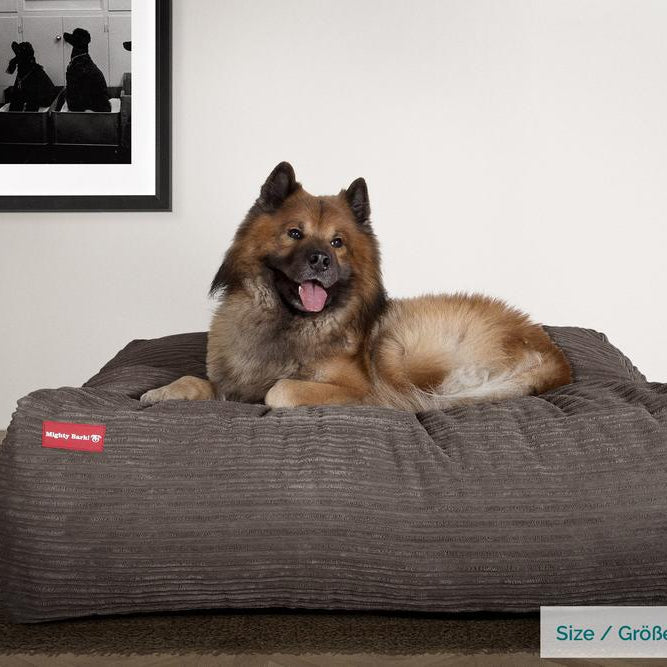 The Crash Pad By Mighty-Bark XXL Large Memory Foam Dog Bed Cord Graphite