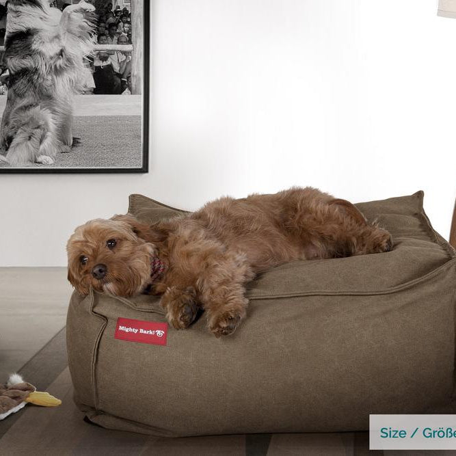 The Crash Pad Memory Foam Dog Bed - Canvas Earth 02