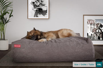 The Crash Pad By Mighty-Bark XXL Large Memory Foam Dog Bed Pom Pom Charcoal
