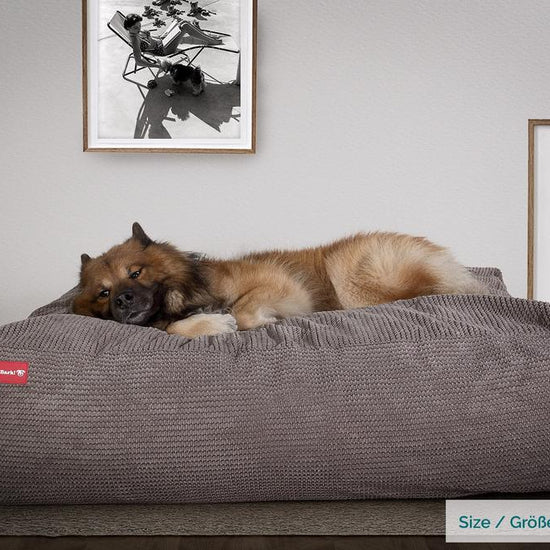 The Crash Pad By Mighty-Bark XXL Large Memory Foam Dog Bed Pom Pom Charcoal
