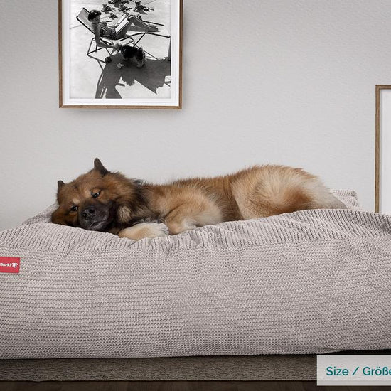 The Crash Pad By Mighty-Bark XXL Large Memory Foam Dog Bed Pom Pom Mink