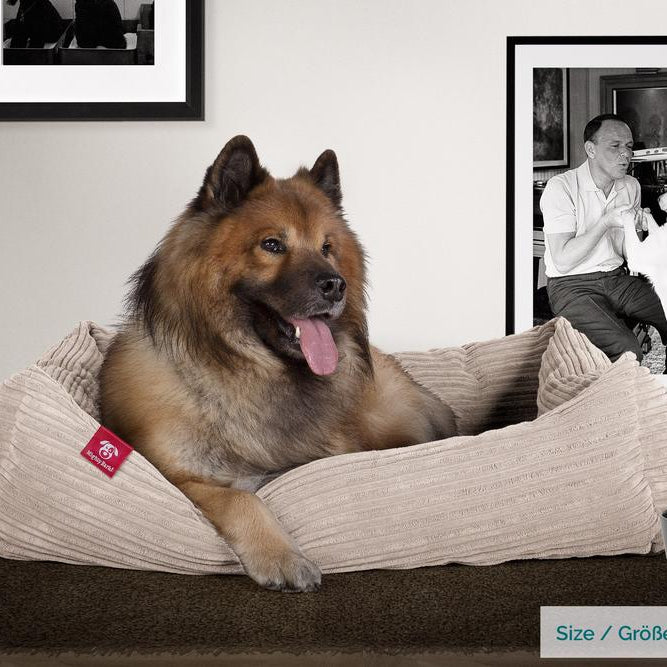 The Nest By Mighty-Bark Orthopedic Memory Foam Dog Bed Basket For Pets Small Medium Large Cord Mink