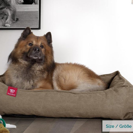 The Nest Orthopedic Memory Foam Dog Bed - Canvas Earth 02