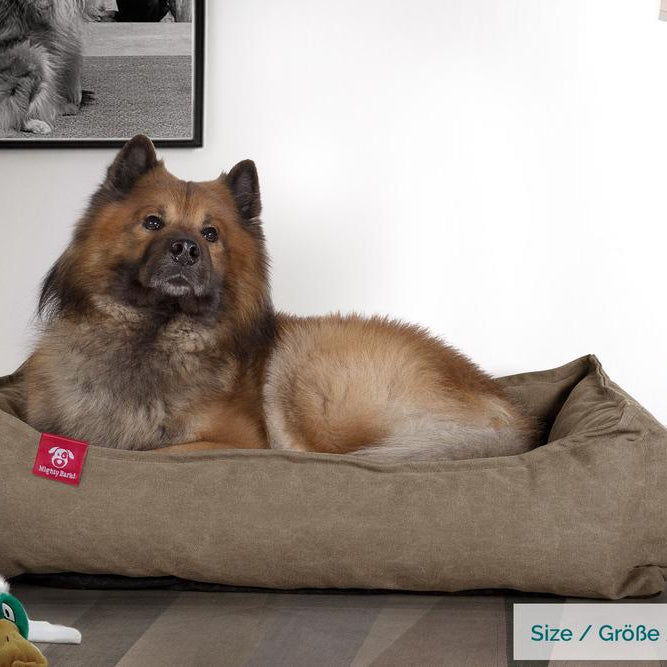 The Nest Orthopedic Memory Foam Dog Bed - Canvas Earth 02