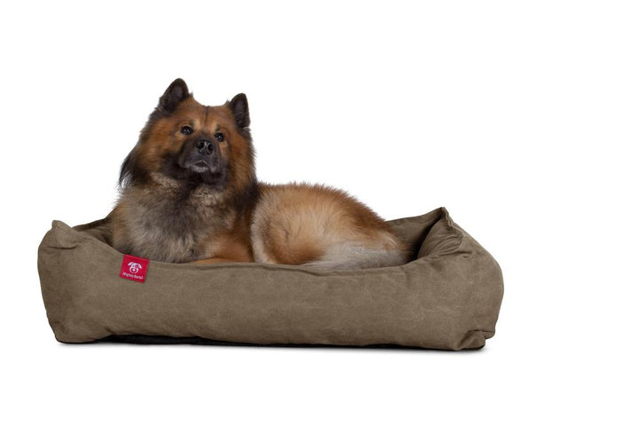 The Nest Orthopedic Memory Foam Dog Bed - Canvas Earth 05