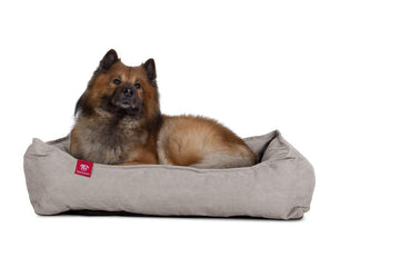 The Nest Orthopedic Memory Foam Dog Bed - Canvas Pewter 04