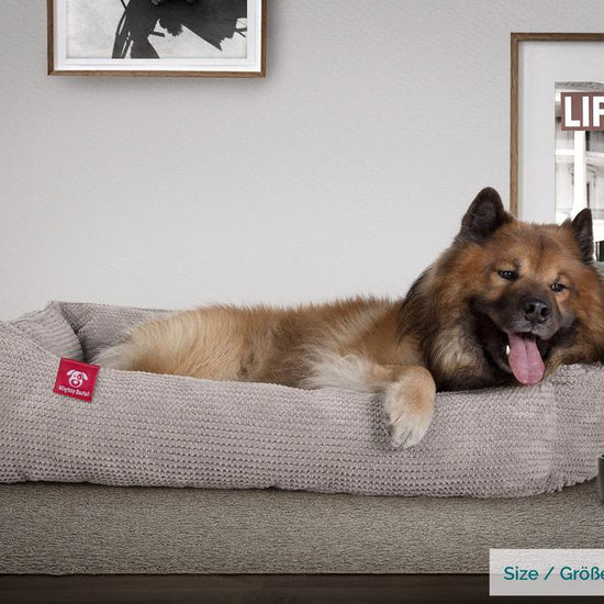 The Nest By Mighty-Bark Orthopedic Memory Foam Dog Bed Basket For Pets Small Medium Large Pom Pom Mink