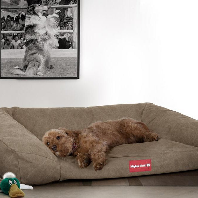 The Sofa Orthopedic Memory Foam Sofa Dog Bed - Canvas Earth 02