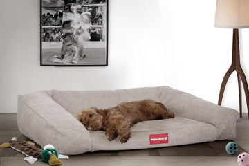 The Sofa Orthopedic Memory Foam Sofa Dog Bed - Canvas Pewter 02