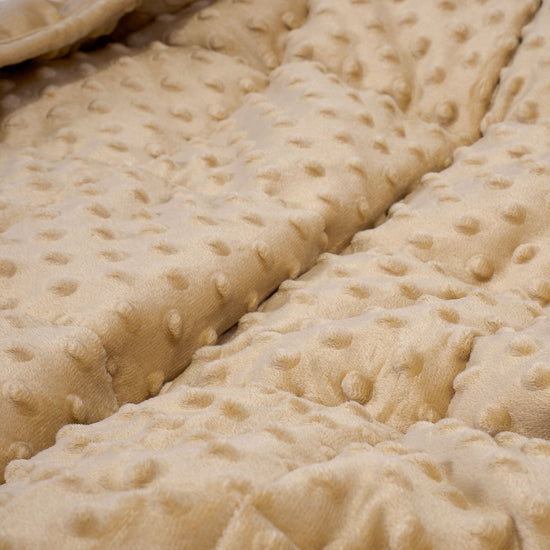 Weighted Blanket for Adults - Minky Dot Cream / Mink 04