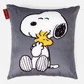 Snoopy Hug
