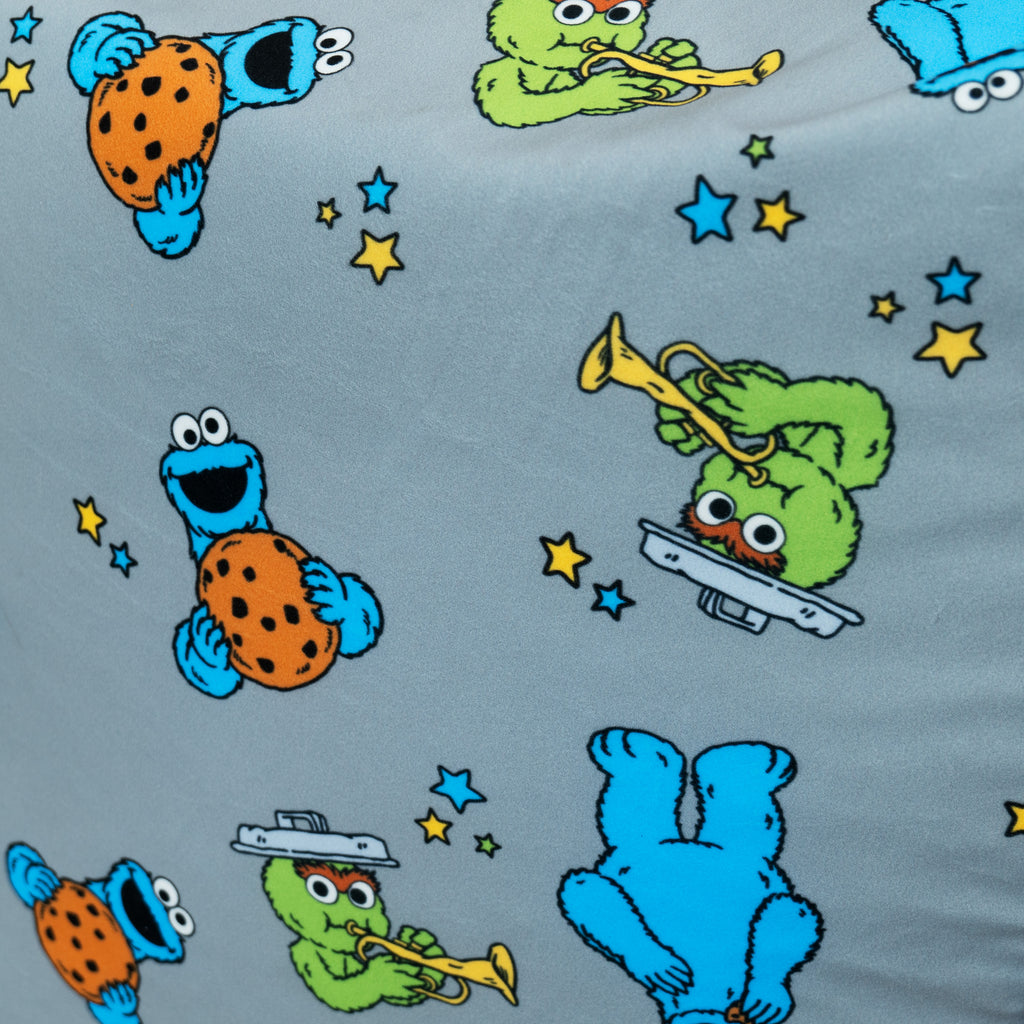 Printed Sofa Bean Bag - Cookie Monster & Oscar The Grouch 03